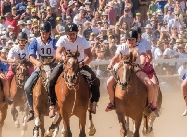 Concours de l'&eacute;t&eacute; - March&eacute; Concours National de Chevaux