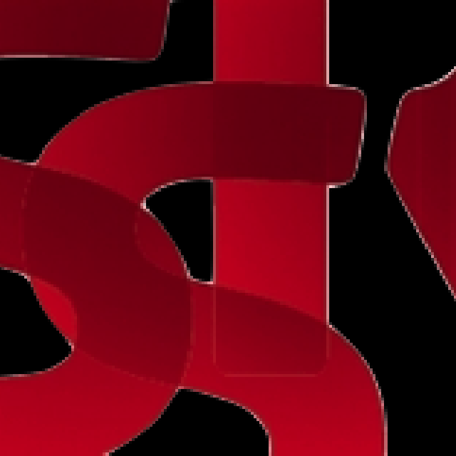 Exercice SSR 2012: des finances saines